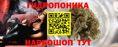 шишки Ирбит