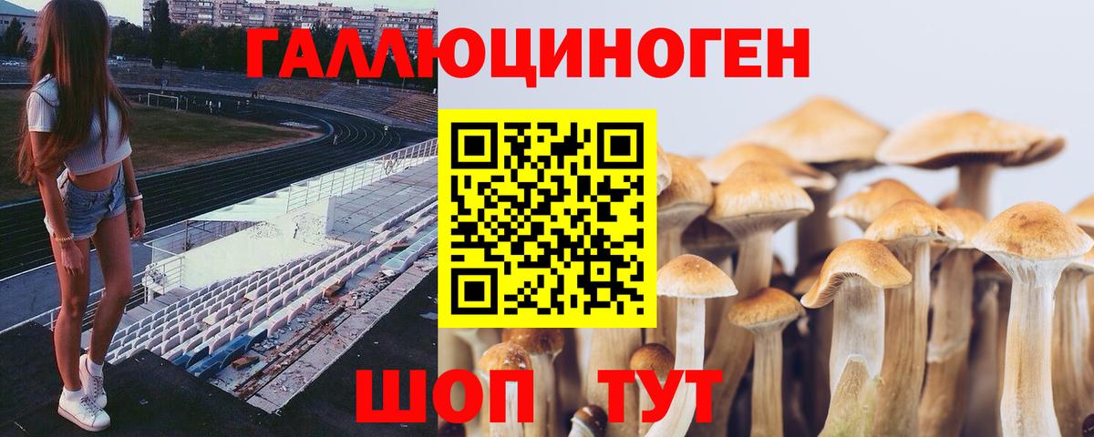 Псилоцибиновые грибы Cubensis Кудрово