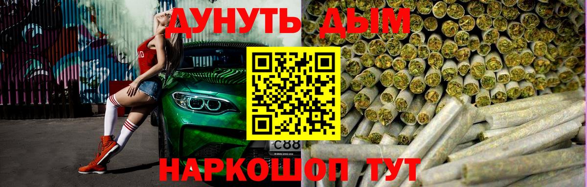 Бошки марихуана сатива Кудрово